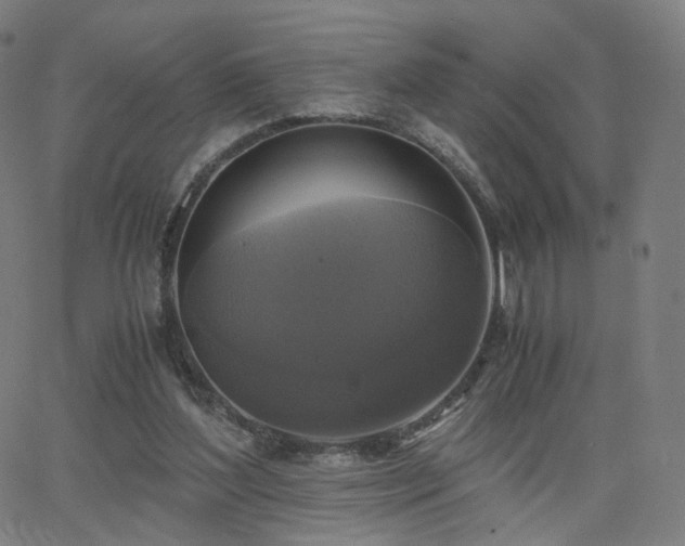 X0000063460204200601201254