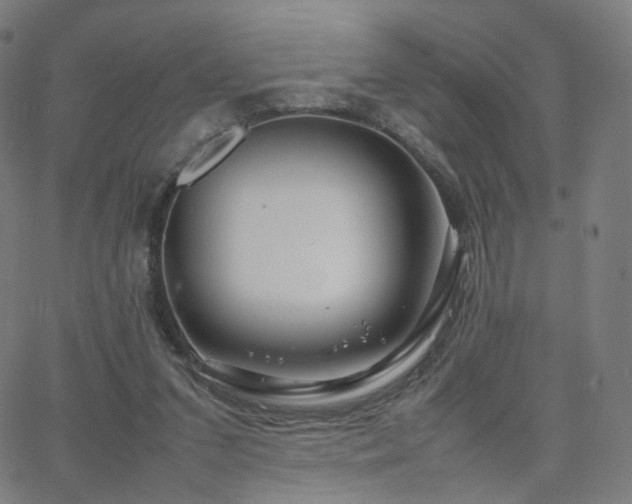 X0000063460207200601201254