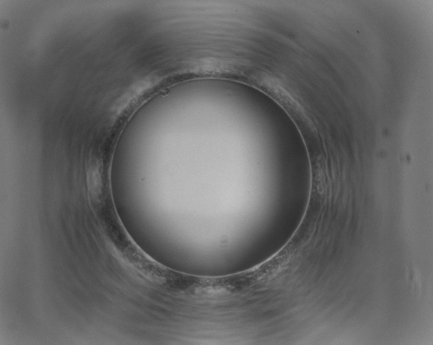 X0000063460208200601201254