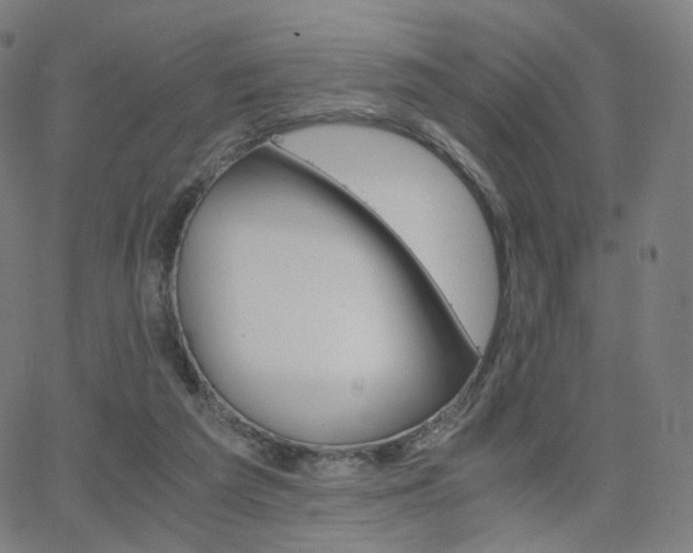 X0000063460209200601201254