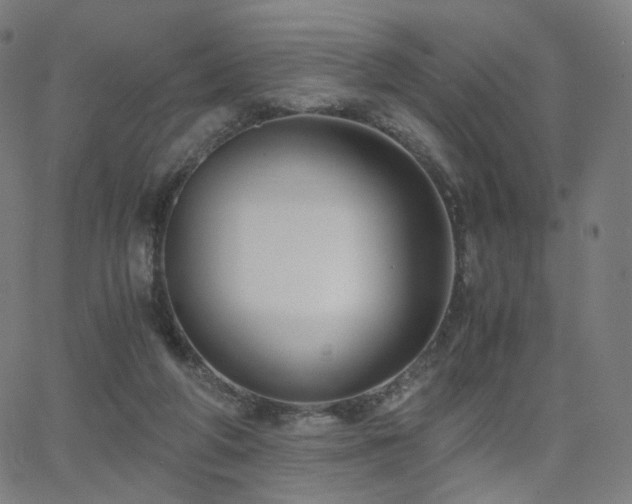 X0000063460210200601201254