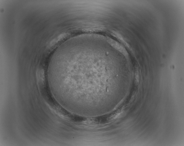 X0000063460211200601201254