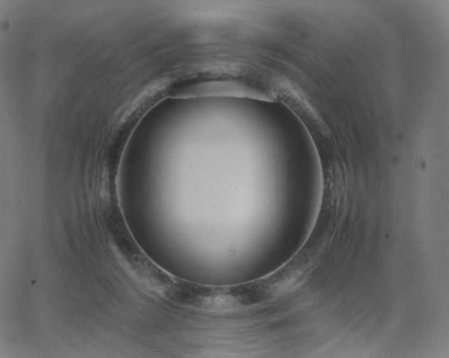 X0000063460212200601201254