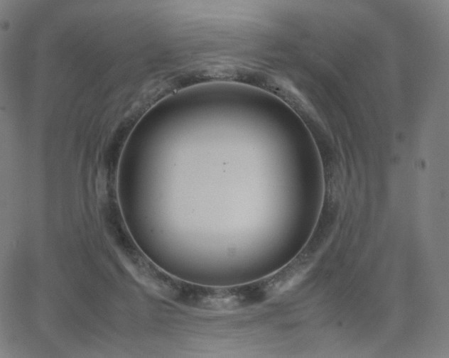 X0000063460213200601201254