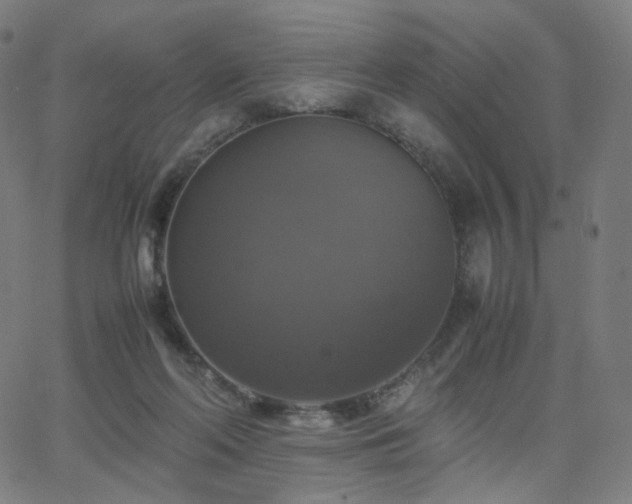 X0000063460214200601201254