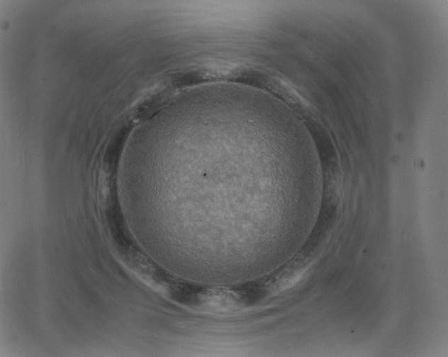 X0000063460215200601201254