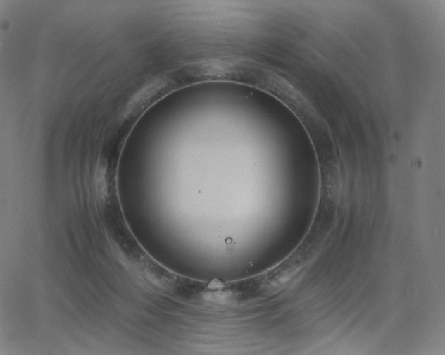 X0000063460216200601201254