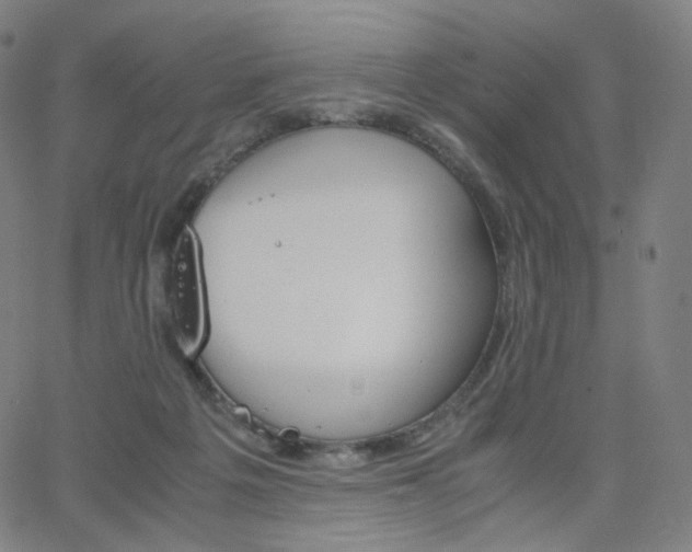 X0000063460217200601201254