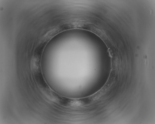 X0000063460218200601201254