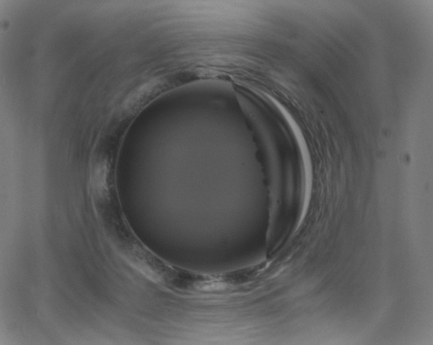 X0000063460219200601201254