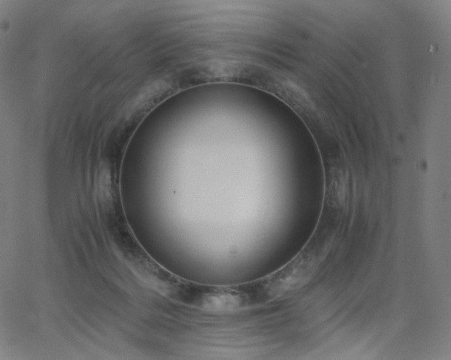 X0000063460220200601201254