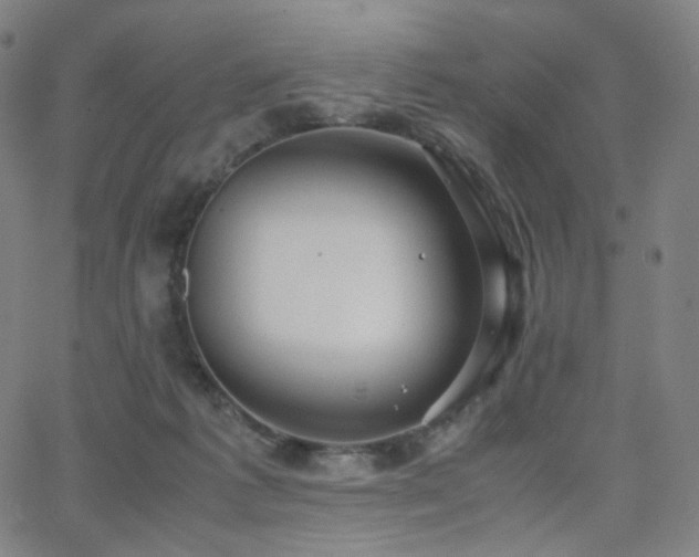 X0000063460221200601201254