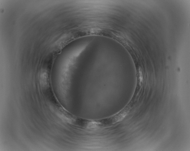 X0000063460222200601201254