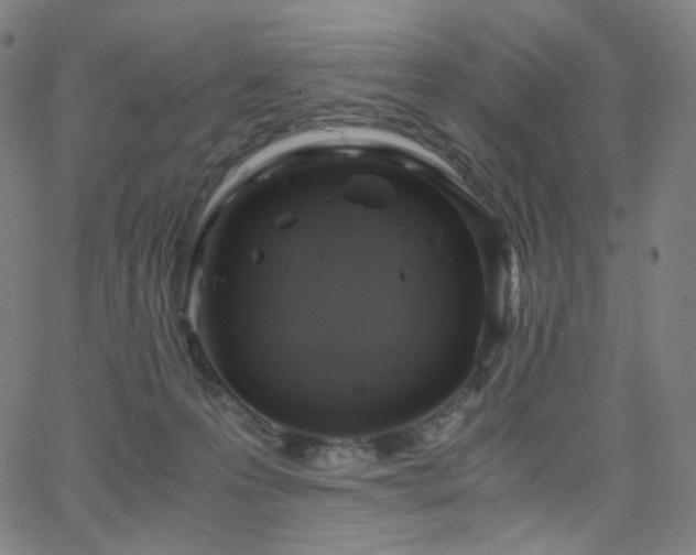 X0000063460223200601201254