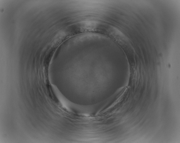 X0000063460224200601201254