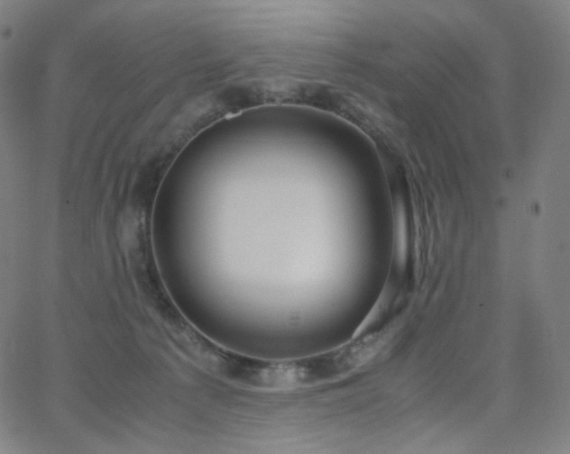 X0000063460225200601201254