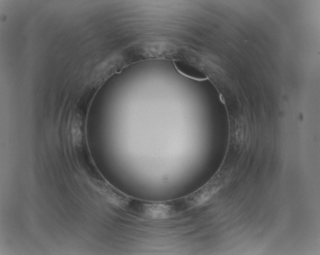 X0000063460226200601201254