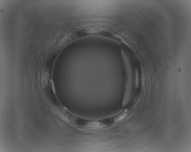 X0000063460227200601201254