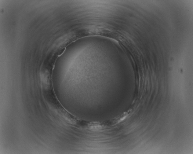 X0000063460228200601201254