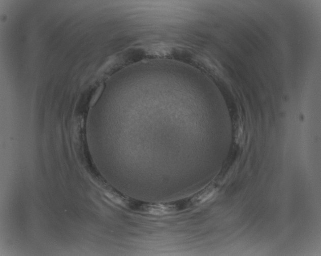 X0000063460229200601201254