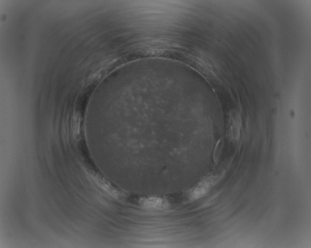 X0000063460230200601201254