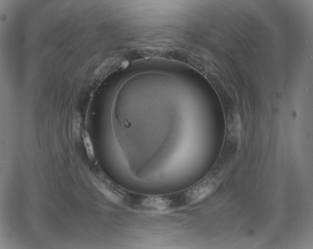 X0000063460231200601201254