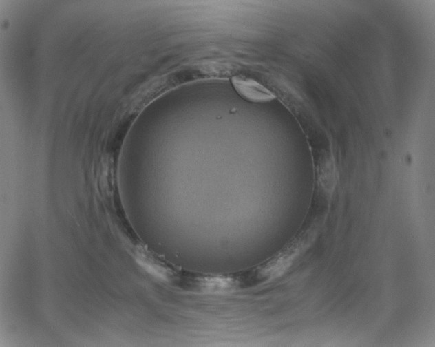 X0000063460233200601201254