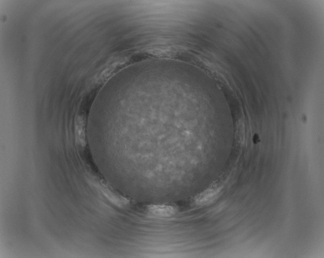 X0000063460234200601201254