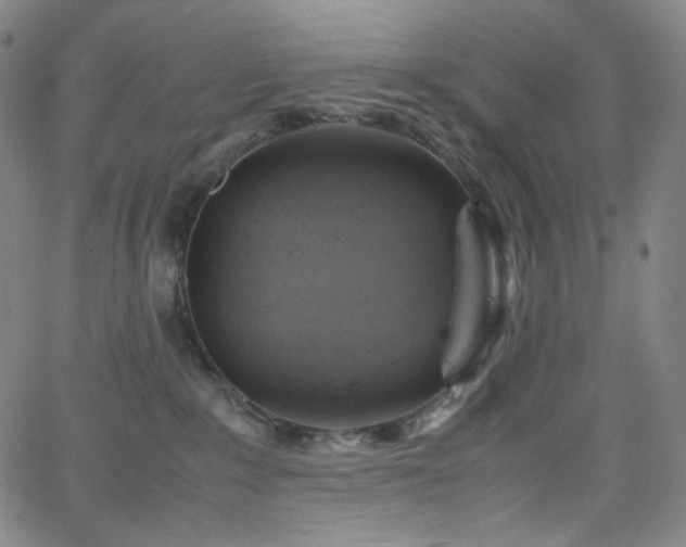 X0000063460235200601201254