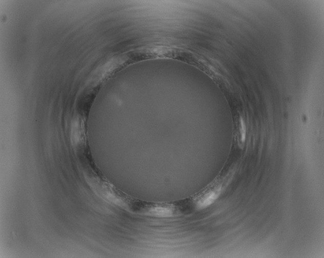 X0000063460236200601201254