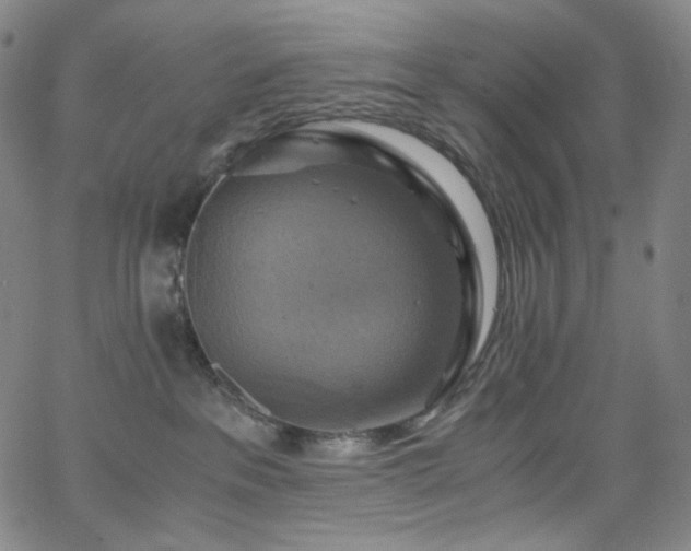 X0000063460237200601201254