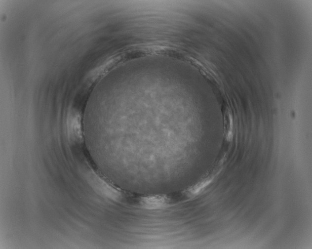 X0000063460238200601201254