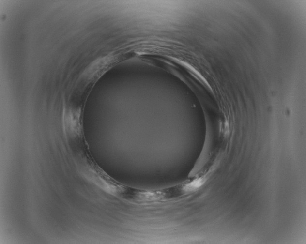 X0000063460239200601201254