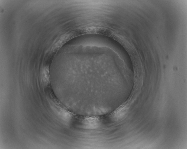 X0000063460240200601201254