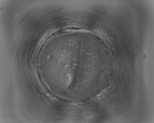 X0000063460241200601201253