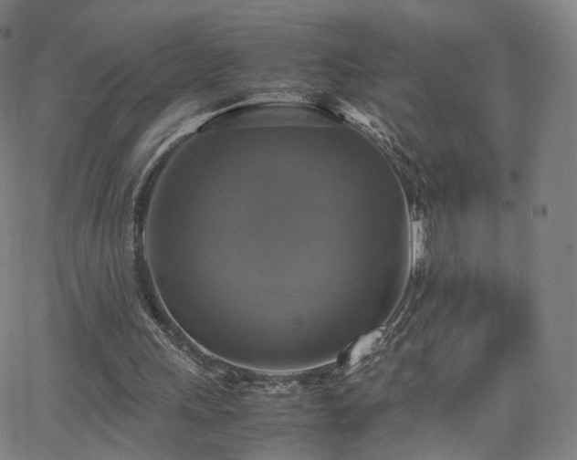 X0000063460243200601201253