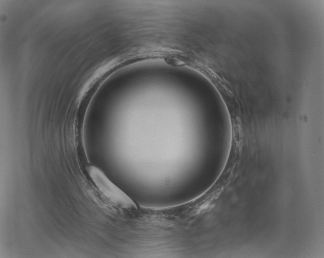 X0000063460244200601201253