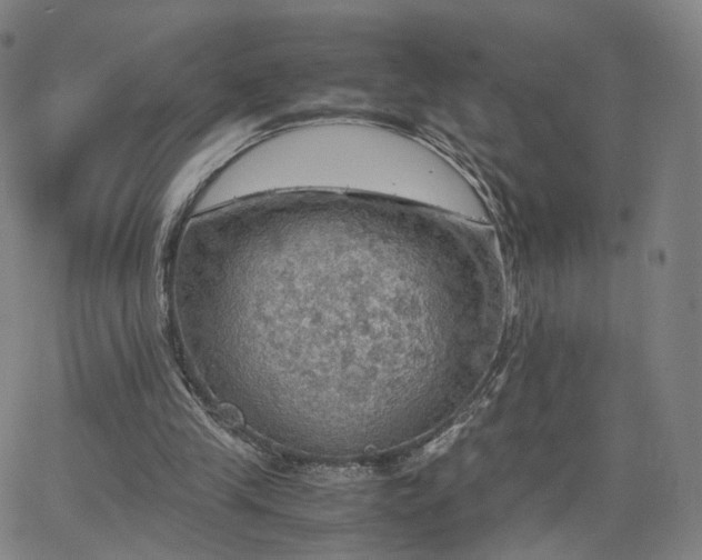 X0000063460245200601201253