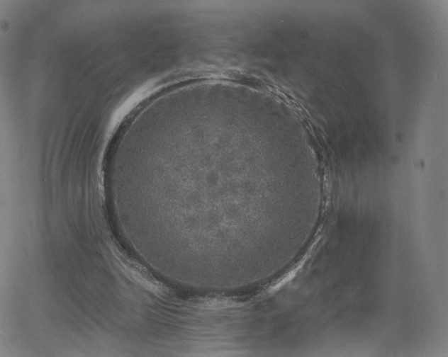 X0000063460246200601201253