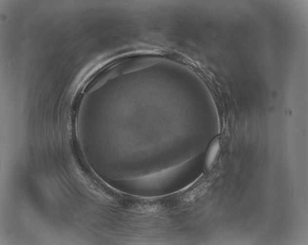 X0000063460247200601201253