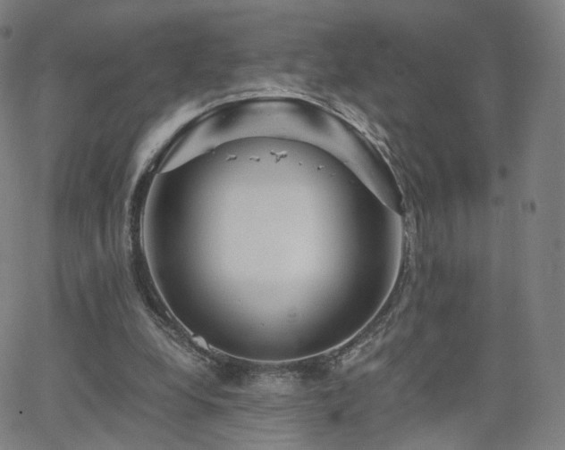 X0000063460248200601201253