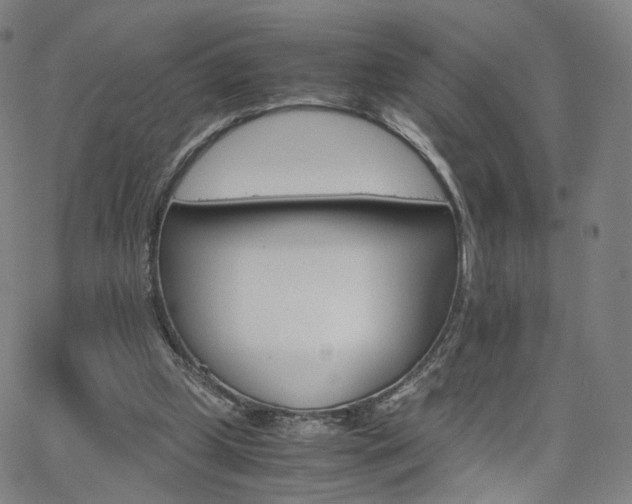 X0000063460249200601201253