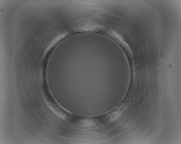 X0000063460250200601201253