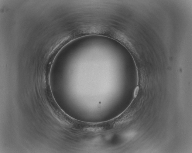 X0000063460251200601201253