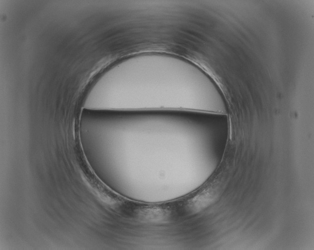 X0000063460253200601201253