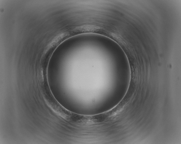 X0000063460254200601201253