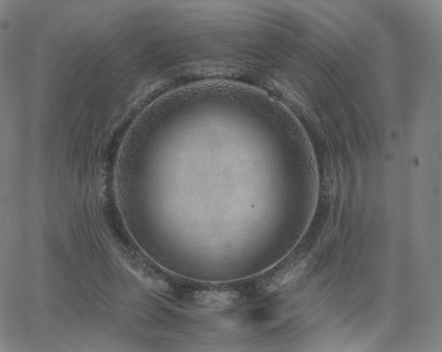 X0000063460255200601201253