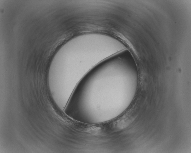 X0000063460257200601201253