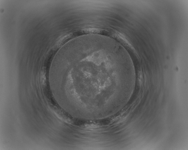 X0000063460259200601201253