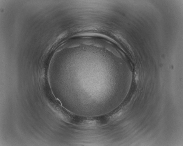 X0000063460260200601201253